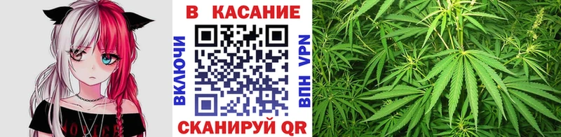 Конопля Венёв