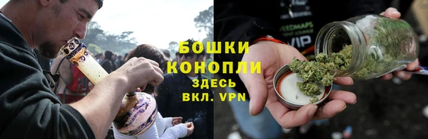 PSILOCYBIN Волосово