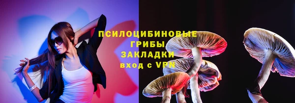 PSILOCYBIN Волосово