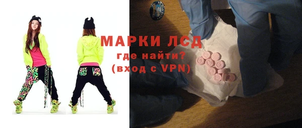 PSILOCYBIN Волосово