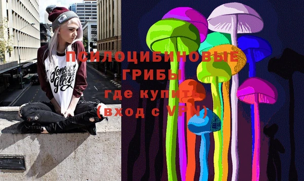 PSILOCYBIN Волосово