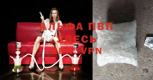PSILOCYBIN Волосово