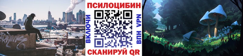 Галлюциногенные грибы Psilocybine cubensis  Купить  Венёв 